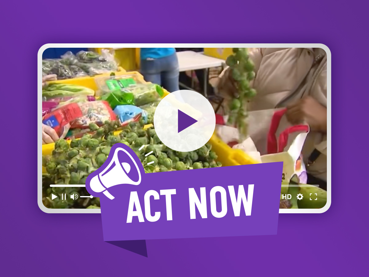 East End House in the News Regarding the Disruption of SNAP Benefits